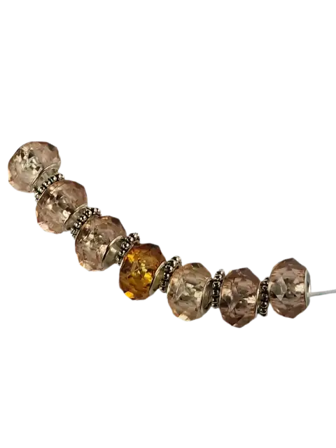 H1006
