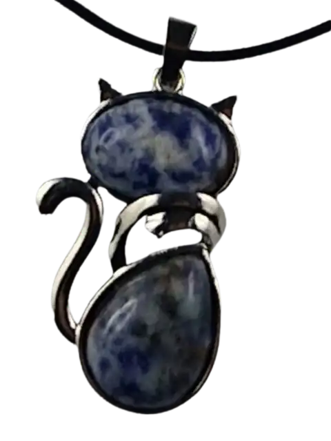 H1008